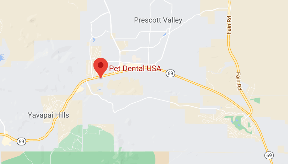 Contact Pet Dental USA