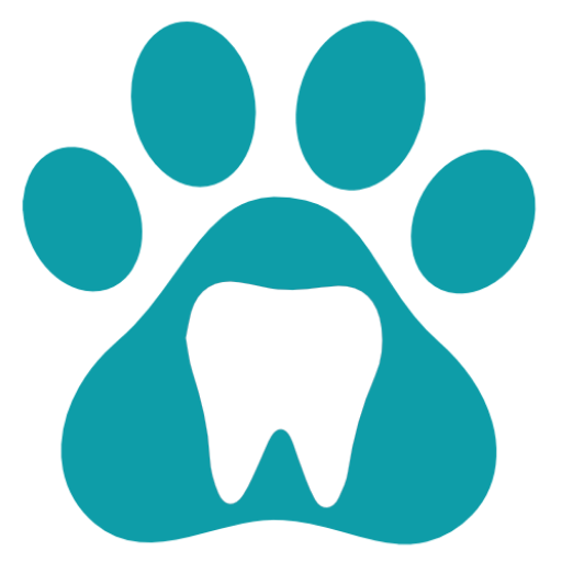 Pet Dental USA Headshot Fermin