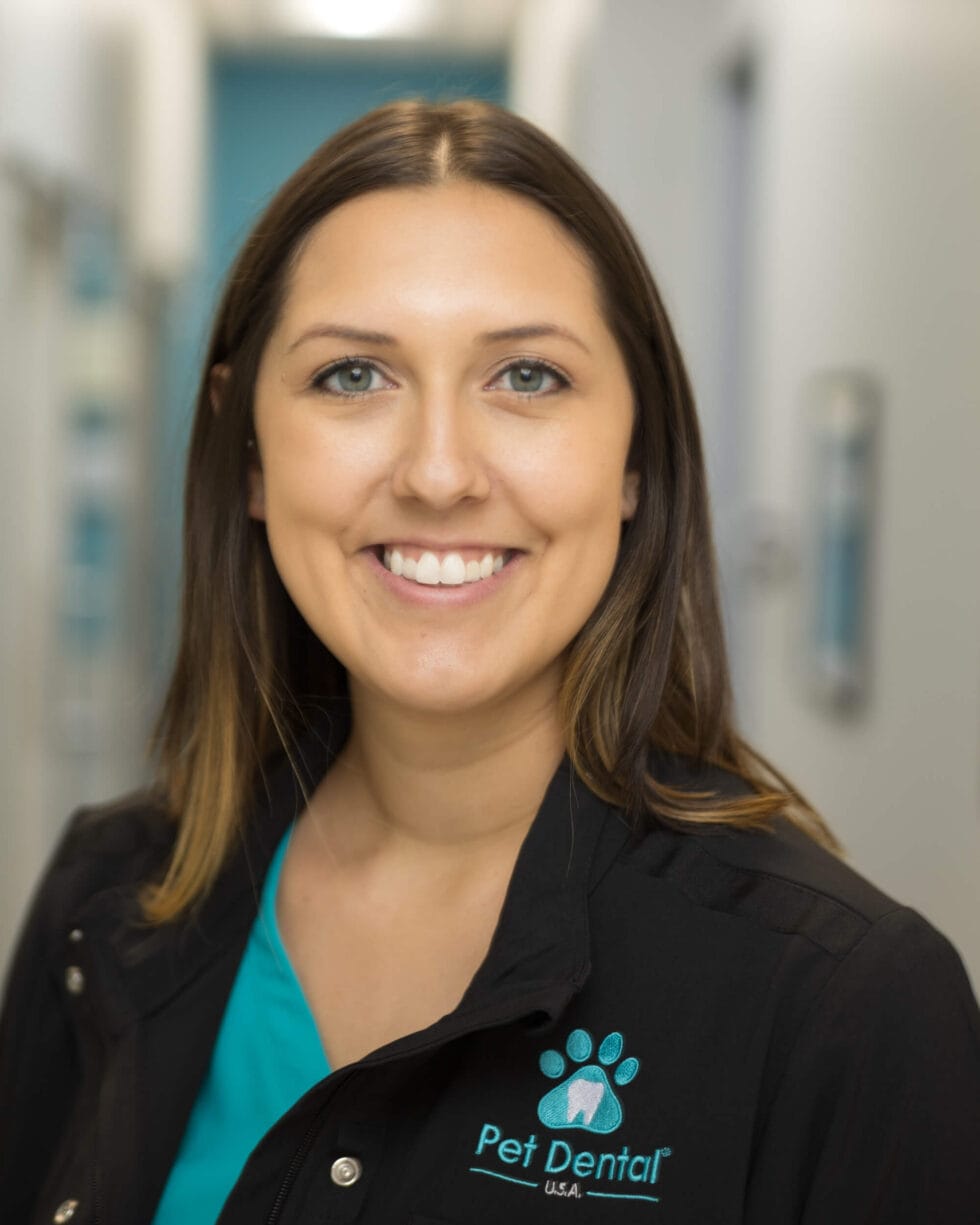 Gilbert Team Pet Dental USA