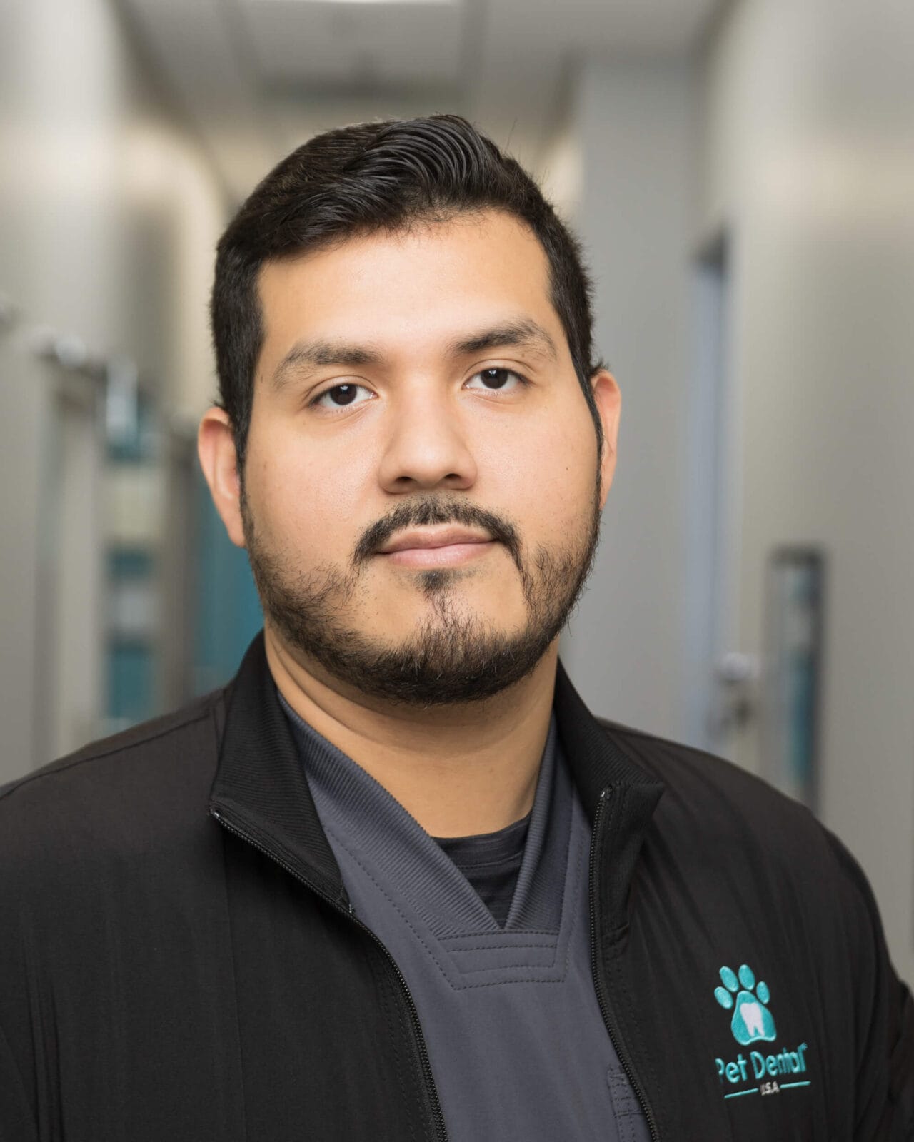 Gilbert Team Pet Dental USA