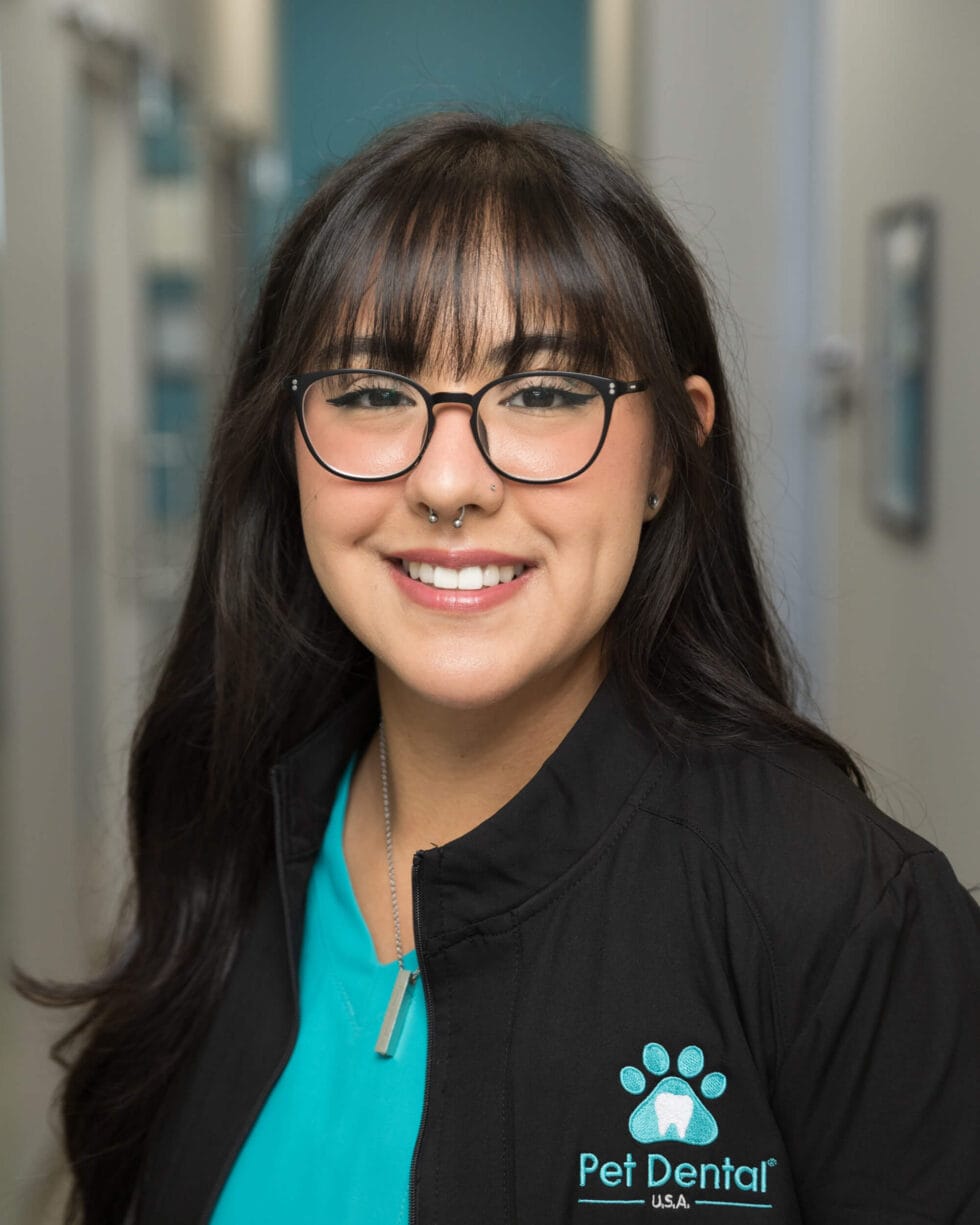 Gilbert Team Pet Dental USA