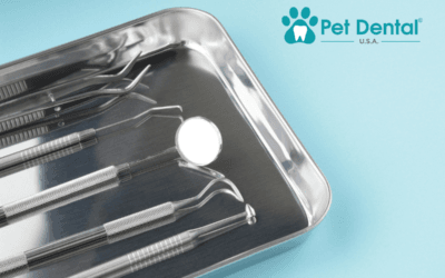 Where Can I Find Reliable Norman, OK, cat dental care?