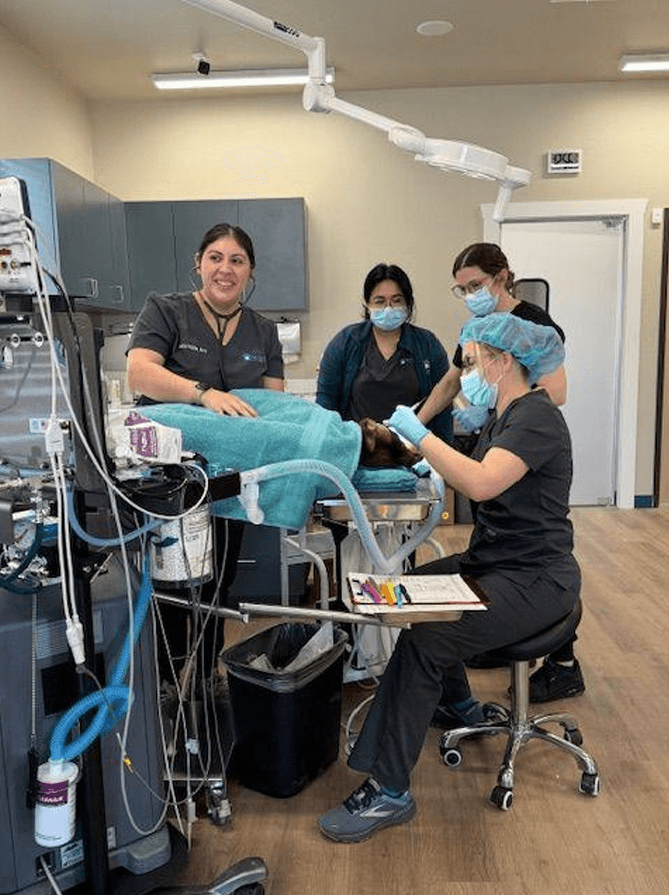 Screenshot 2026-02-02 173415