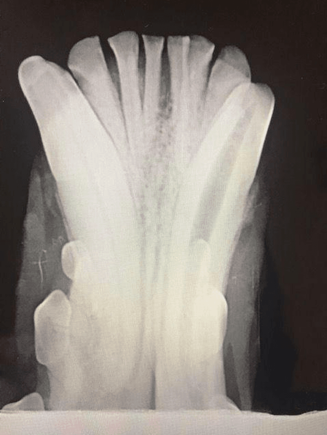 Screenshot 2026-02-02 173455