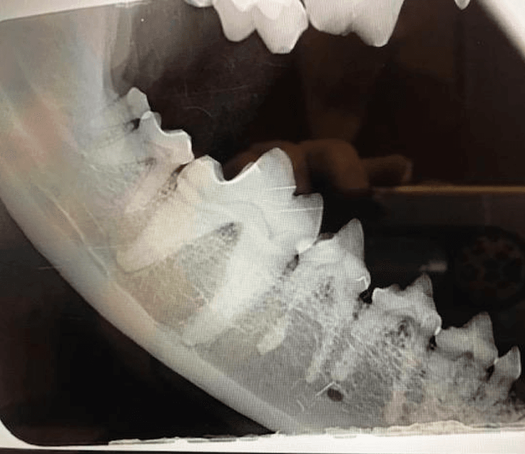 Screenshot 2026-02-02 173533