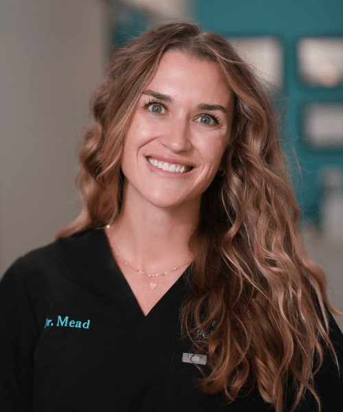 Pet Dental USA Headshot Dr. Meade