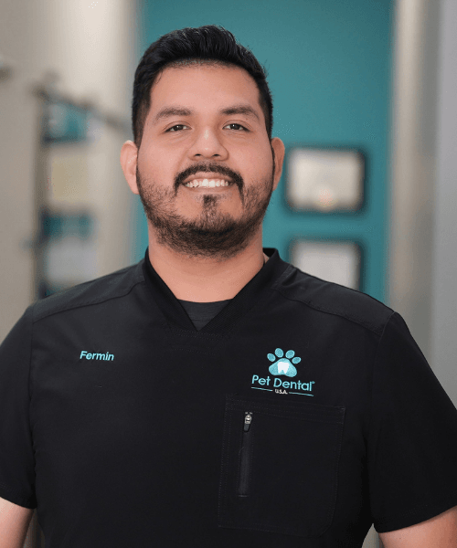 Pet Dental USA Headshot Fermin