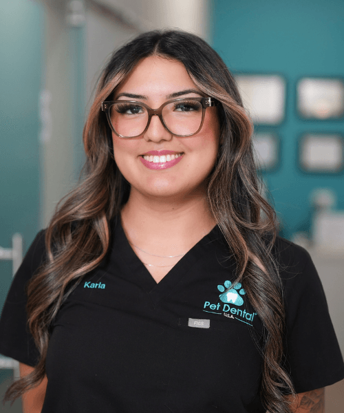 Pet Dental USA Headshot Fermin