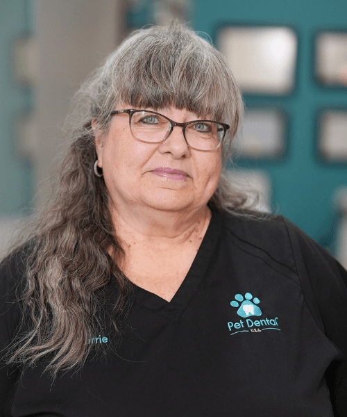 Pet Dental USA Headshot Fermin